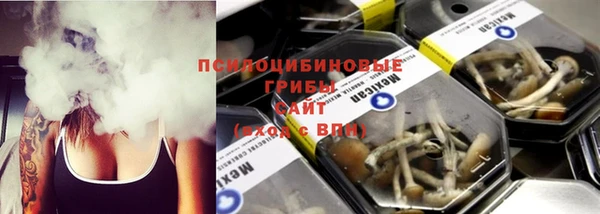 МДПВ Нея
