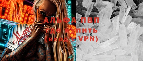 индика Белая Холуница