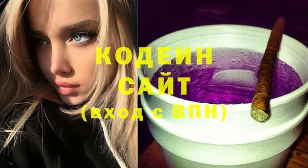 МДПВ Нея