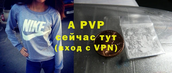 МДПВ Нея